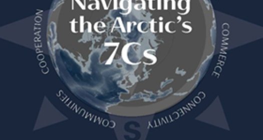 Image Navigating the Arctic's Seven Cs Book Cover