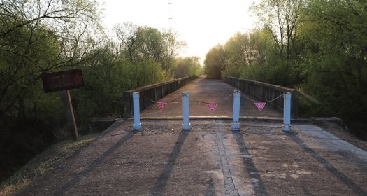 A view of an empty bridge surrounded by trees.