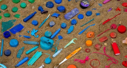 Collected plastic during Community Cleanup at the local shoreline and harbourfront of Hamilton in Spring. Plastic is sorted by colour.