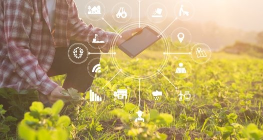 Man in field with sensors