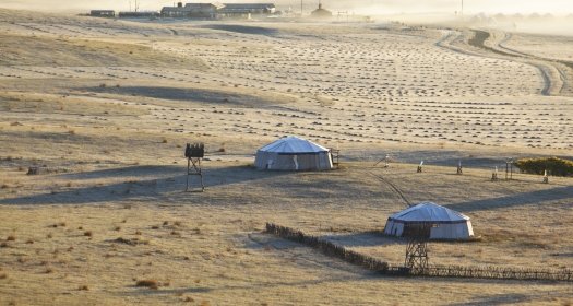 Chinese Grassland