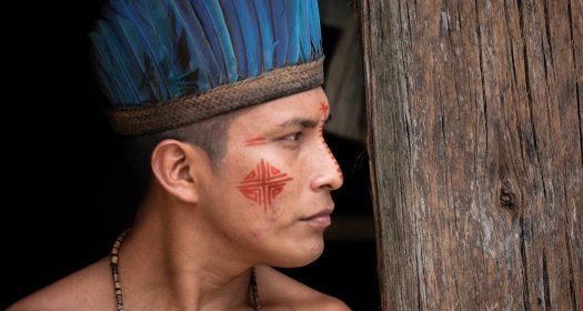 Image - Parcerias com Comunidades Indígenas