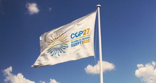 COP 27 Flag