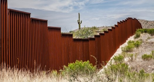 Border fence along Arizona border. A cactus is seen in distance