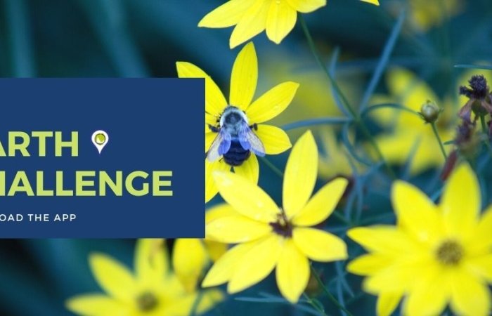 Earth Challenge Download the App