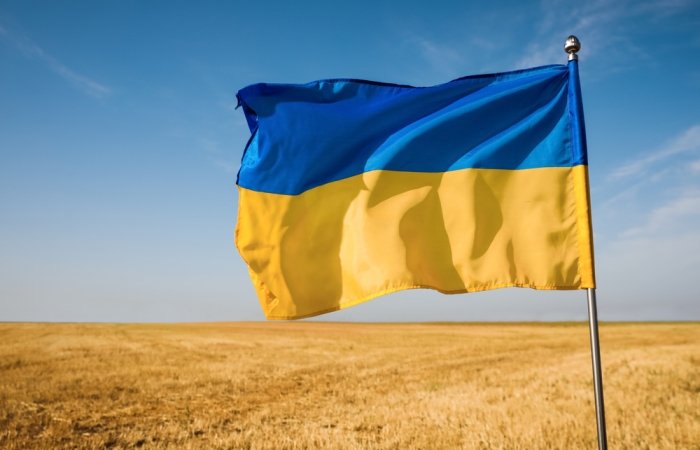Ukraine flag