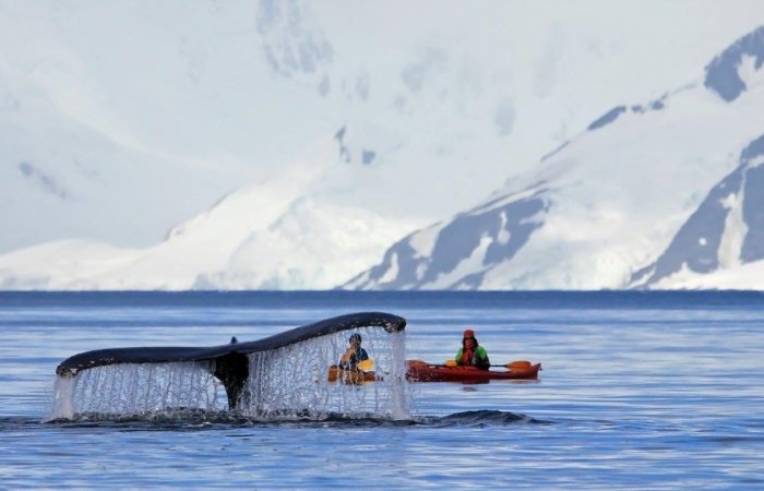 Latin America's Environmental Policies: Perspectives on the Oceans