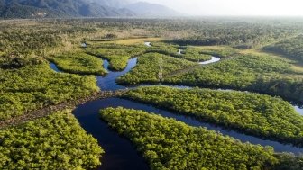 What’s at Stake in Brazil’s Election? The Future of the Amazon