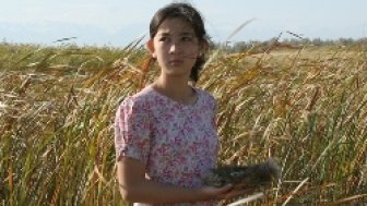 Aizan Zetiru as Aruzhan in the film Akkyz, (2011, Kazakhstan, dir. Zhanabek Zhetiru). 