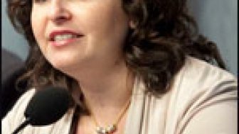 Building a Low Carbon Economy in Brazil: Perspectives on Renewable Energy Public Policies