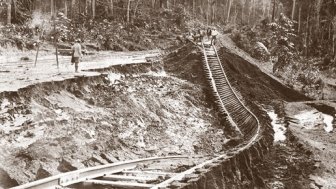 Tracks in the Amazon