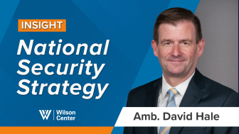 Thumbnail for Amb. David Hale NSS video