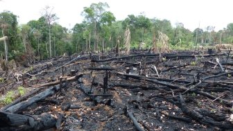 Brazil Fire