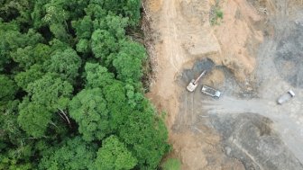 Separated Land of Trees and Dirt with Trucks Deforesting and Mining 