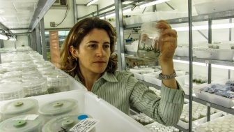 Image - Brazilian women working in a lab
