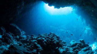 Rays of sunlight illuminate an underwater cave.
