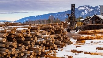 Image - Lumber in Canada