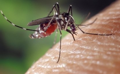 The Potential and Challenge of Gene Drives