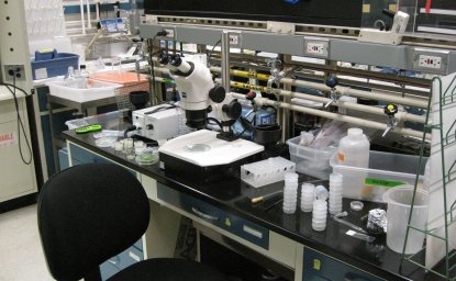 Focus Groups Tackle Synthetic Biology