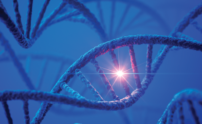 An Ecological Risk Research Agenda for Synthetic Biology