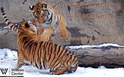 Sino-Japanese Relations After the Cold War: Two Tigers Sharing a Mountain