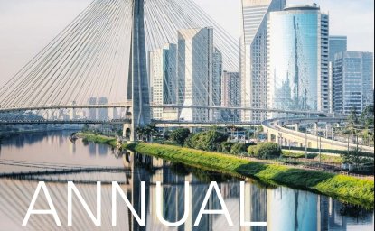 Brazil Institute Annual Report 2014