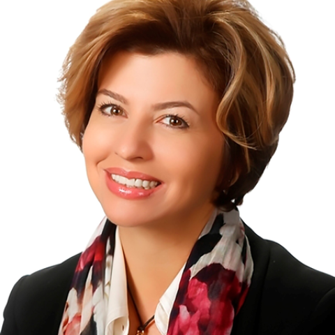 Dima Bibi