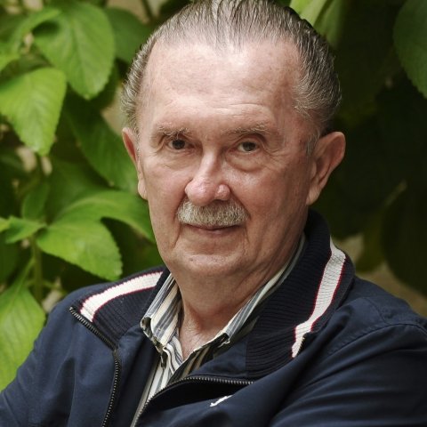 David Fleischer