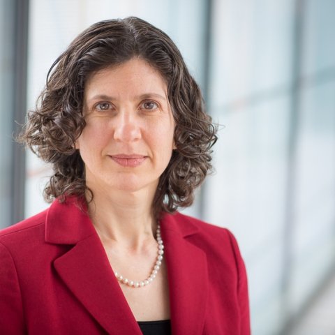 Lisa Moses Leff