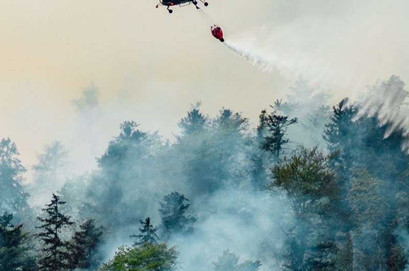 Wildfires in the Arctic