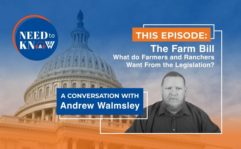 Andrew Walmsley