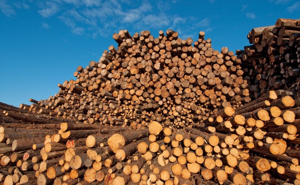 Image - Lumber in Canada