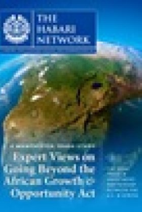 Expert Views on Going Beyond the African Growth & Opportunity Act
