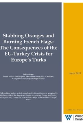 Stabbing Oranges and Burning French Flags: The Consequences of the EU-Turkey Crisis for Europe’s Turks