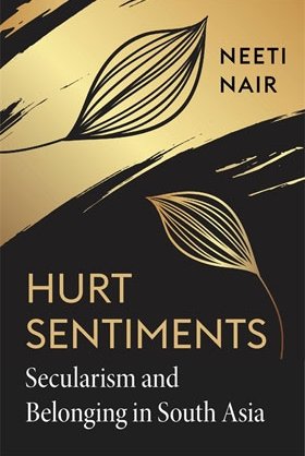 Hurt Sentiments Book Cover