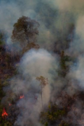 Image - Fire in the Amazon