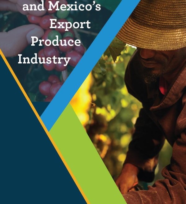 Farm Labor and Mexico's Export Produce Industry