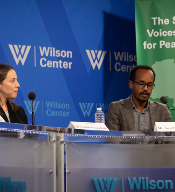 The Southern Voices Network for Peacebuilding