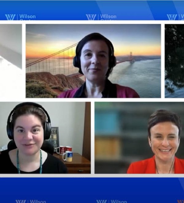 Screenshot of Panel for Lessons from Europe