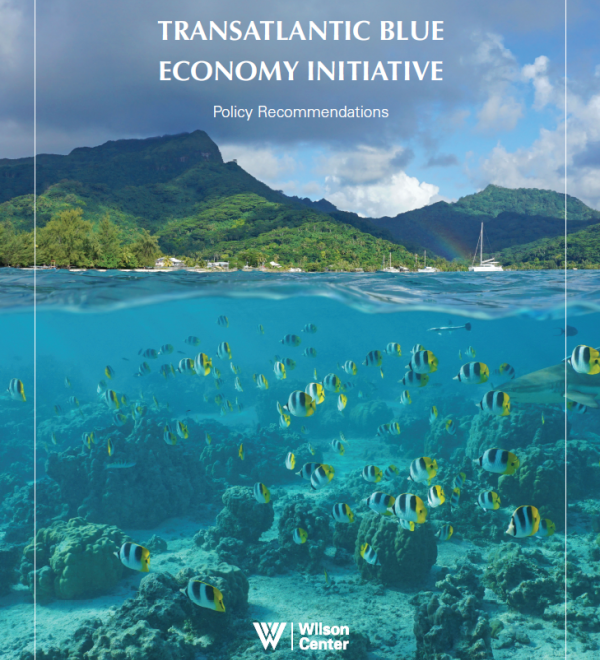 Blue economy report cover
