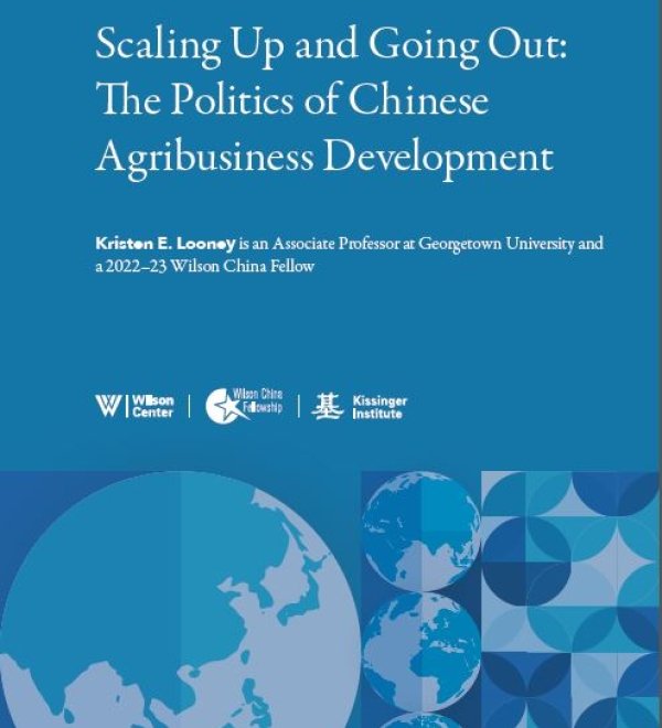 Scaling Up and Going Out: The Politics of Chinese Agribusiness Development