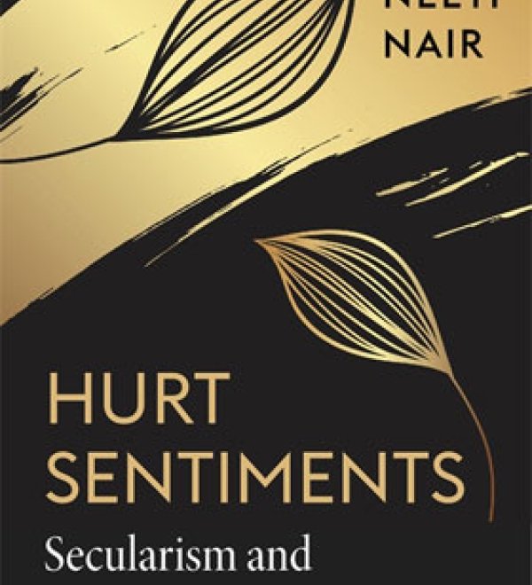 Hurt Sentiments Book Cover