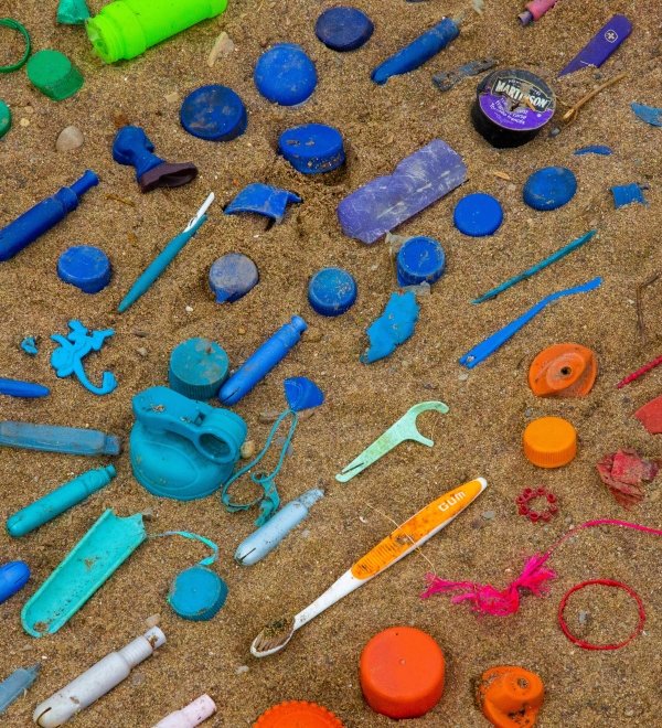 Collected plastic during Community Cleanup at the local shoreline and harbourfront of Hamilton in Spring. Plastic is sorted by colour.