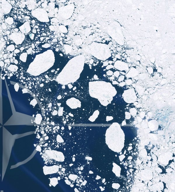 NATO Logo with Ice