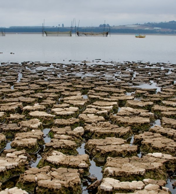 Image of lake, dry from drought in Hidalgo Mexico