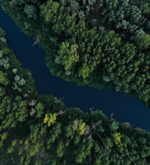 Image - Latin America’s Environmental Policies in Global Perspective