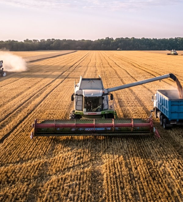 July 20, 2021, Russia, Krasnodar Territory. Harvester working in a wheat field at sunset