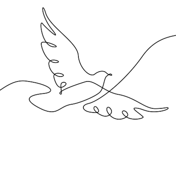outline of dove
