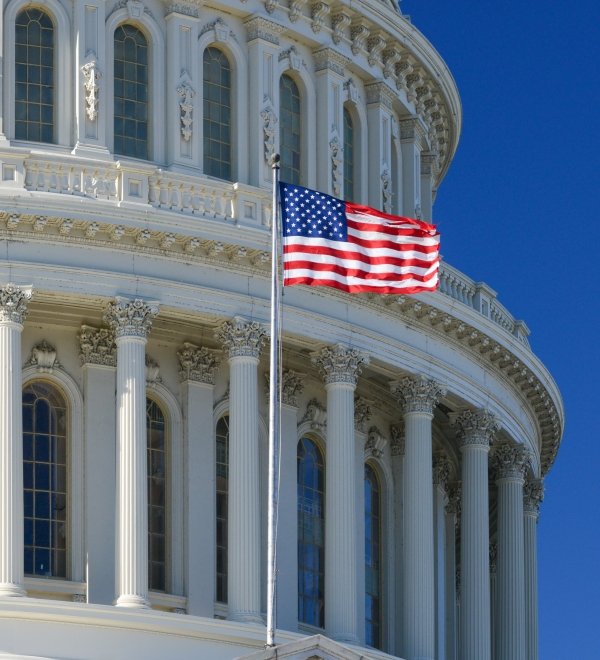 Image - Capitol Hill with Flag