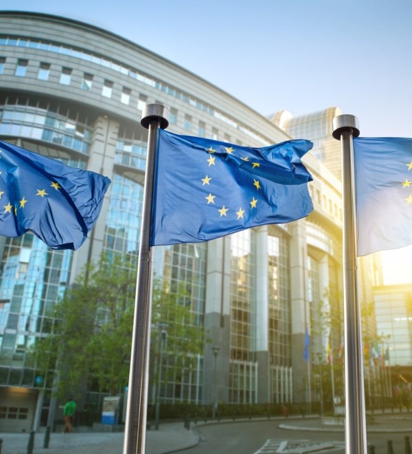 EU Flags